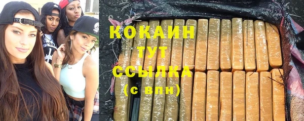 дживик Абинск