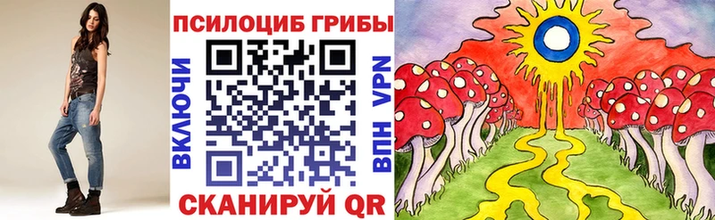 Псилоцибиновые грибы Psilocybine cubensis Ессентукская