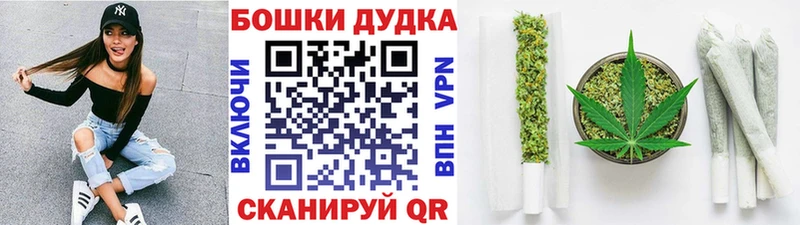 Бошки Шишки White Widow магазин продажи mega ТОР Ессентукская